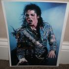 Image of Michael Jackson Autographed color concert 8.5x11 picture